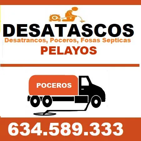 empresas Desatacos Pelayos de la Presa